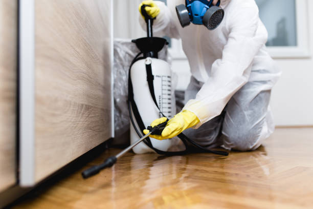 Best Rat Extermination Near Me  in Bellville, OH