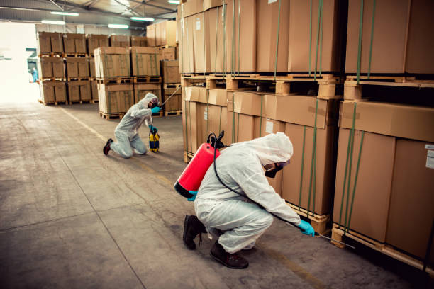 Best Pest Removal Services  in Bellville, OH