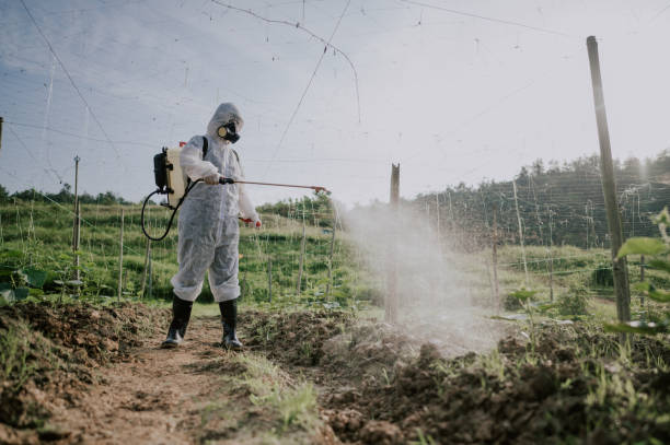Best Best Pest Control Companies  in Bellville, OH
