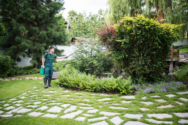 Best Local Pest Control Services  in Bellville, OH