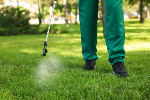 Best Pest Control Near Me  in Bellville, OH