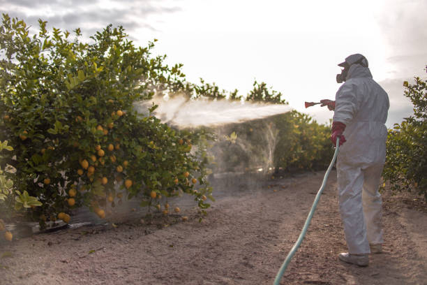 Best Flea Control Services  in Bellville, OH