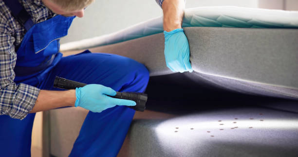 Best Pest Prevention Services  in Bellville, OH
