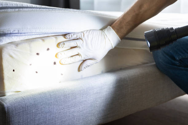 Best Affordable Pest Control Services  in Bellville, OH