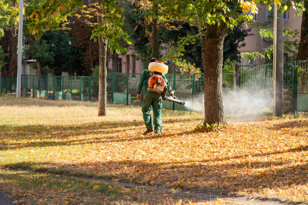 Best Spider Control Near Me  in Bellville, OH