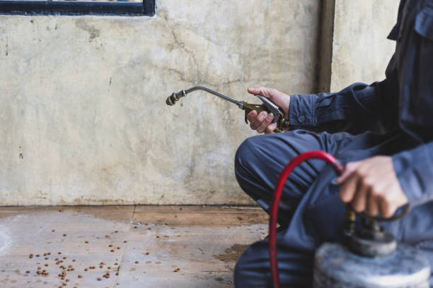 Best Pest Inspection Near Me  in Bellville, OH